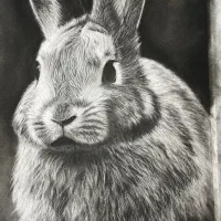 آموزش مجازی سیاه قلم و طراحی با مداد