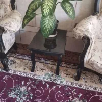 مبل ۹ نفره چوب جنگلی اصلی|مبلمان خانگی و میز عسلی|شیراز, میانرود|دیوار