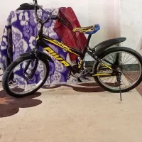 دوچرخه ۲۰|دوچرخه، اسکیت، اسکوتر|بندرلنگه, |دیوار