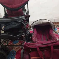 سیسمونی نوزاد