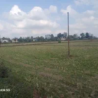 شالیزار سنتی چسبیده به خونه مسکونی|فروش زمین و ملک کلنگی|رشت, بازار|دیوار