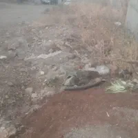 فروش فوری