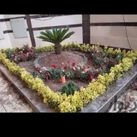 خدمات باغبانی مردای تعویض خاک گلدان در منزل و غیره