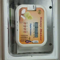 لوازم برقی|تلویزیون و پروژکتور|رشت, حومه رشت|دیوار