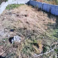 فروش فوری فوری زمین  در خیابان نور
