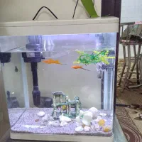 فروش اکواریوم