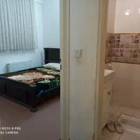 سوئیت اجاره ای قم خیابان هفت تیر یک خواب|اجارهٔ کوتاهمدت آپارتمان و سوئیت|قم, دانش|دیوار