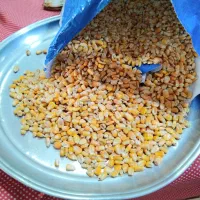 ذرت ،خوراک دام وطیور