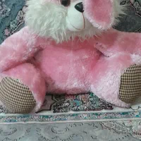 عروسک مانتو|لباس|رباط‌کریم, الارد|دیوار