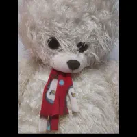 خرس یک متری|اسباب‌بازی بچه|رشت, جهاد|دیوار