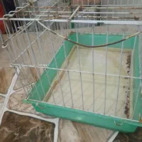 نگه دارنده حیوانات|لوازم جانبی حیوانات|ساوه, |دیوار