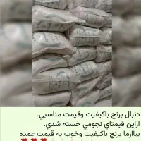 برنج|خوردنی و آشامیدنی|قم, شهرک فاطمیه|دیوار