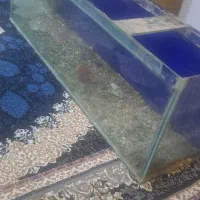 اکواریوم شیشه ۱۰میل