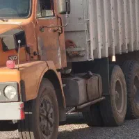 شسته فیلر بادامی