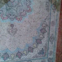 فرش ۶متری|فرش|تهران, بهداشت|دیوار