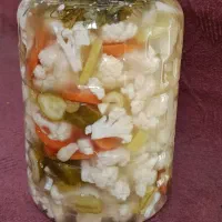 ترشی خانگی|خوردنی و آشامیدنی|تهران, خانی آباد نو شمالی|دیوار