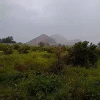 زمین جمال اباد تجاری مسکونی