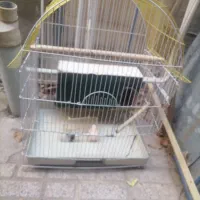 قفس بزرگ پرنده 4 درب