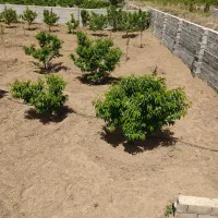 باغ ویلا تبریز شبستر|فروش خانه و ویلا|شبستر, |دیوار