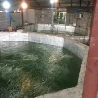 مجتمع تجاری و مسکونی|فروش دفتر صنعتی، کشاورزی، تجاری|شفت, |دیوار