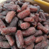 پیارم مجول|خوردنی و آشامیدنی|تهران, اختیاریه|دیوار