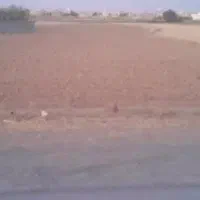 زمین (کشاورزی) در ضیا اباد