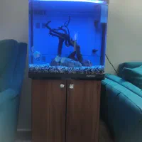 آکواریوم آب شیرین و شور با تجهیزات|ماهی|تهران, شهرک فرهنگیان|دیوار