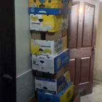 کارتون موزی جهت اسباب کشی