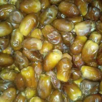 خرما و محصولات طبیعی مستقیم از تولید کننده|خوردنی و آشامیدنی|تهران, تهرانپارس جنوبی|دیوار