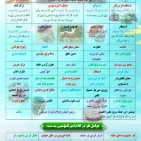 راهنمایی کنید لطفاً جهت سبک زندگی اسلامی|فعالیت داوطلبانه|قم, پردیسان|دیوار