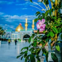 ثبتنام تور کربلا برا ایام فاطمیه۱۲و۲۷ آبان و۱۰ آذر|تور و چارتر|بناب, |دیوار