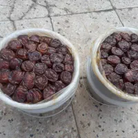 خرما برحی درشت