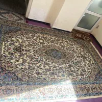 فرش|فرش|رودهن, |دیوار