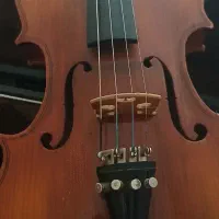 ویولن 4/4|ویولن|اصفهان, کوی امیریه|دیوار