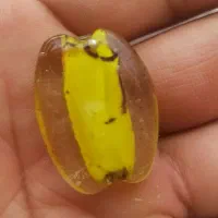 مهره گردنی کهربا