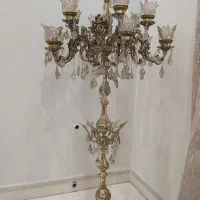 کنارسالنی جفت     ۱۳ شاخه