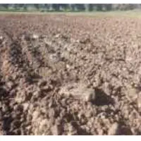 اجاره زمین کشاورزی سه هکتار. روستای چوپلوجه