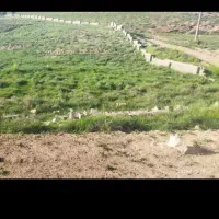 زمین باغشهری تنگه رویایی اردشیری هماشهر نقدواقساط