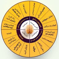 جویای کار