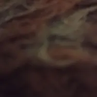 موکت یک ملیون