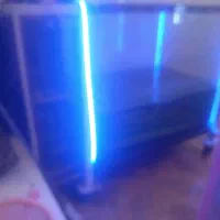 آکواریم ماهی غزل|ماهی|تیران, |دیوار