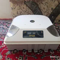 دستگاه جوجه کشی