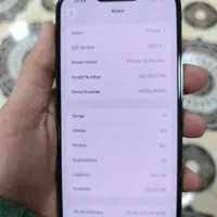 آیفون 13 پرومکس|موبایل|تهران, گیشا|دیوار