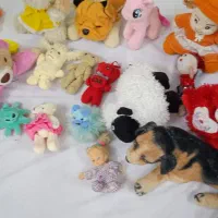 این همه عروسک|اسباب‌بازی بچه|مشهد, نوید|دیوار