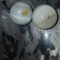 مهره سلیمانی