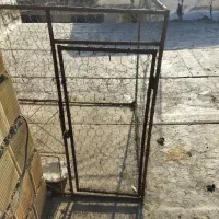 معاوضه با کبوتر رنگی