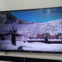 تلویزیون ویستل