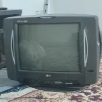 تلویزیون