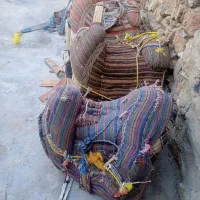 فروش فوری4عدد کوپان یا پالان تازه