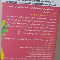 دمنوش  تی بگ.و قهوه فوری وسیرسیاه